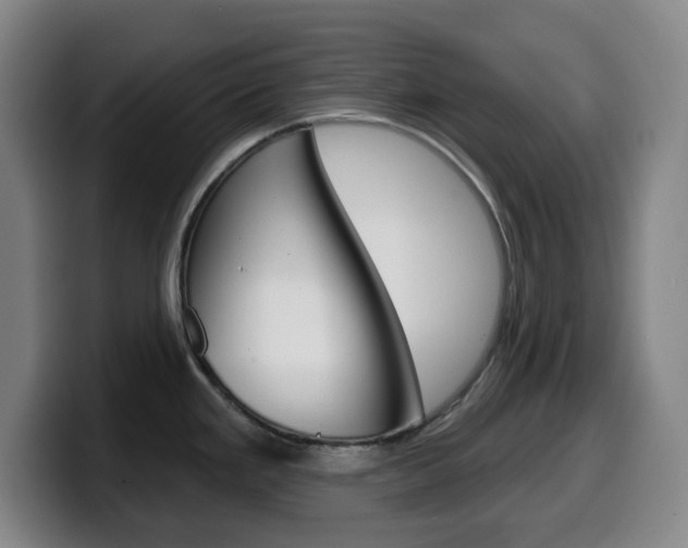 X0000099521293200805151024