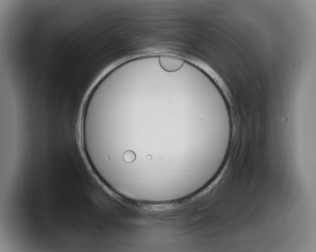 X0000099521294200805151024