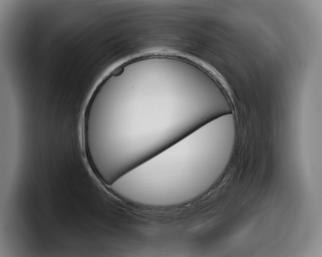 X0000099521295200805151024
