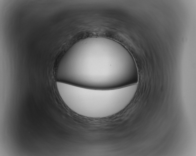 X0000099521298200805151024