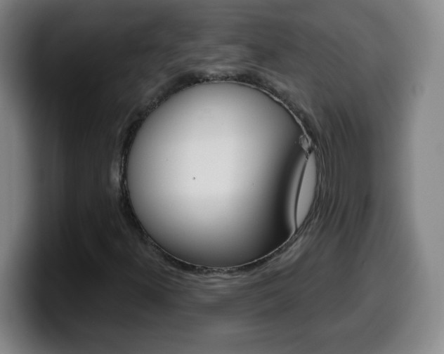 X0000099521300200805151024