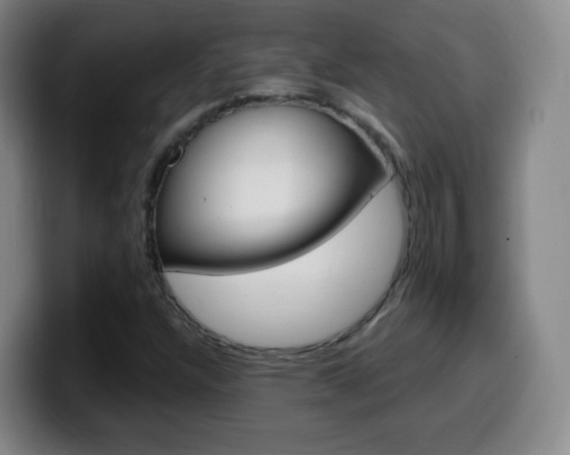 X0000099521304200805151024