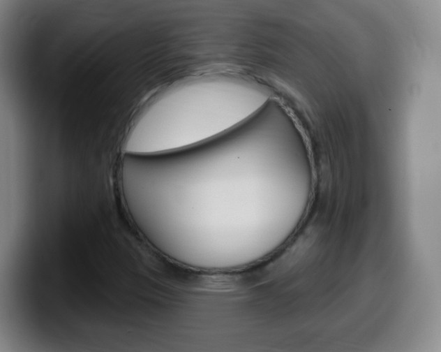 X0000099521305200805151024
