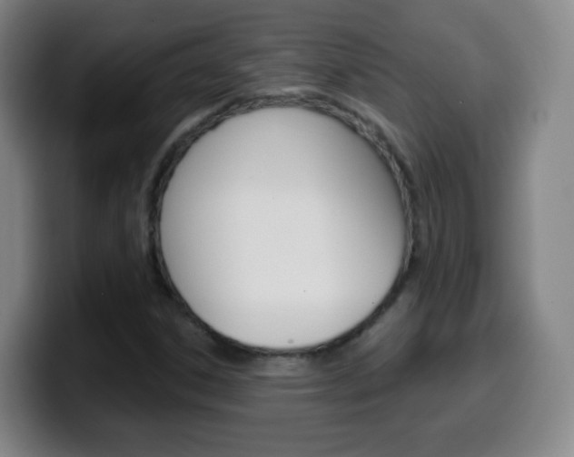 X0000099521306200805151024