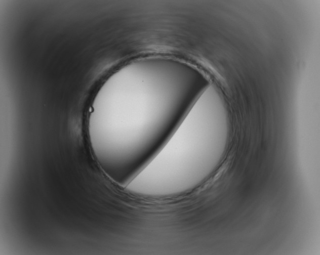 X0000099521307200805151024