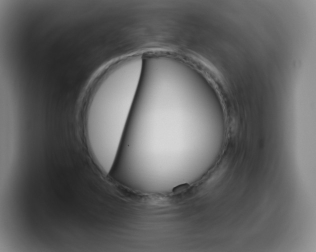 X0000099521310200805151024