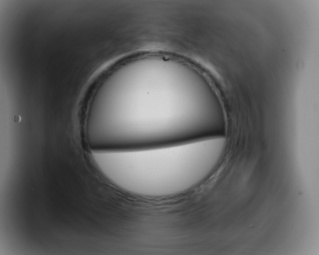 X0000099521311200805151024
