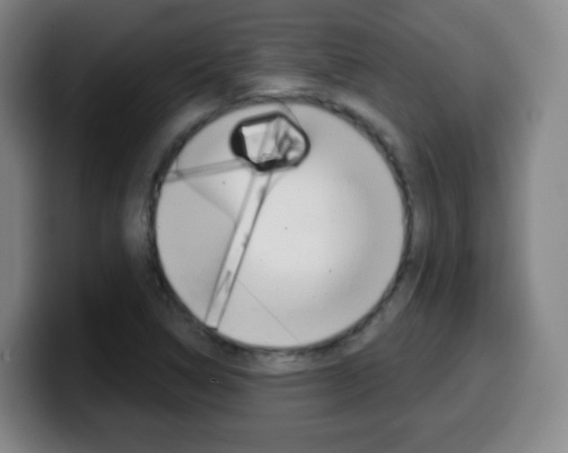 X0000099521314200805151024