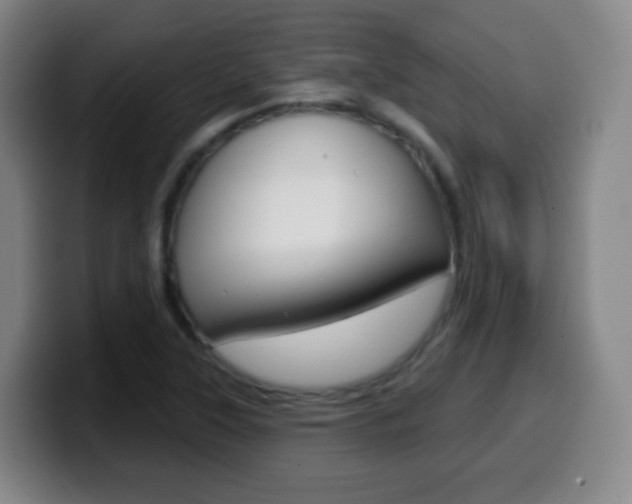 X0000099521315200805151024