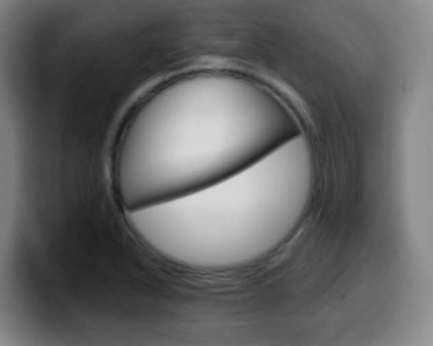 X0000099521318200805151024