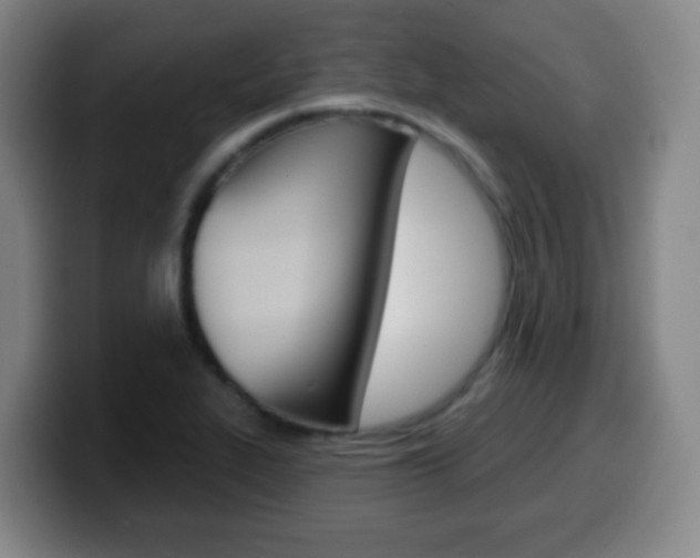 X0000099521319200805151024