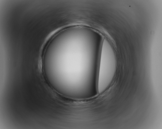 X0000099521320200805151024