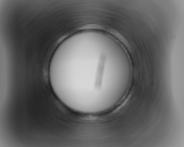 X0000099521321200805151024
