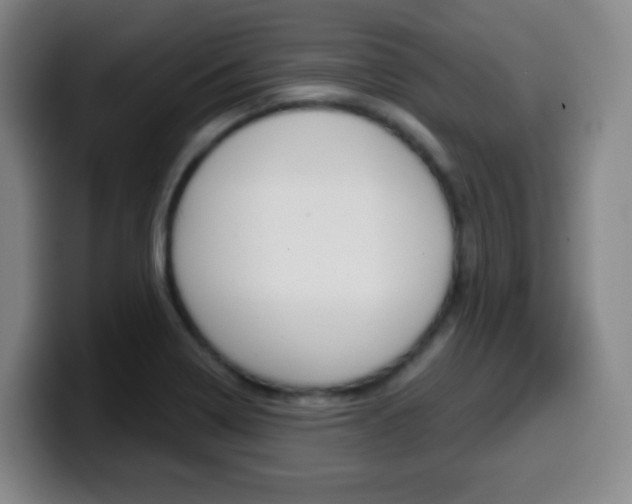 X0000099521322200805151024