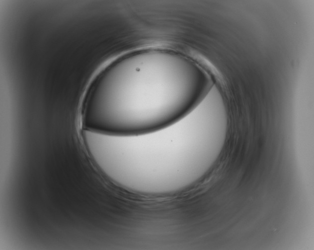 X0000099521324200805151024