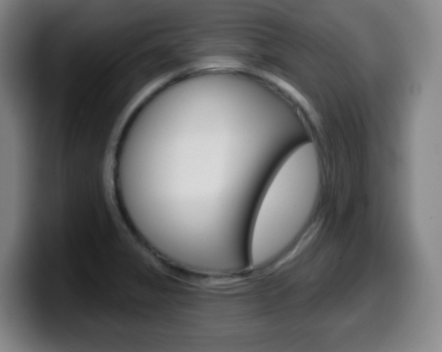 X0000099521325200805151024