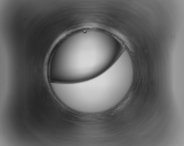 X0000099521326200805151024
