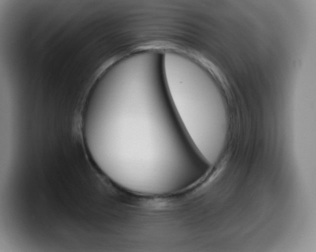 X0000099521329200805151024