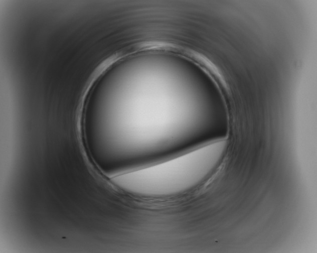 X0000099521330200805151024