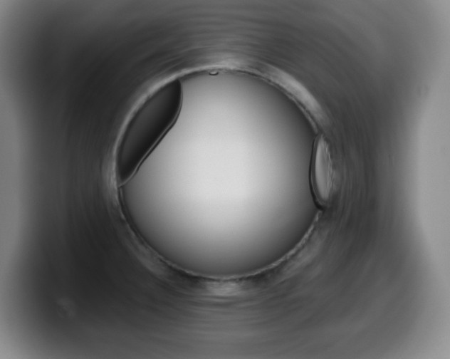 X0000099521332200805151024