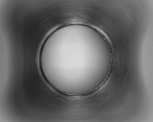 X0000099521333200805151024