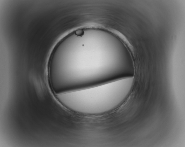 X0000099521335200805151024