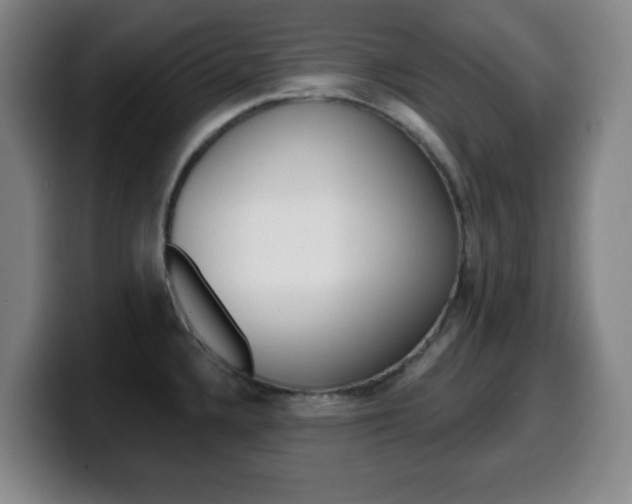 X0000099521336200805151024