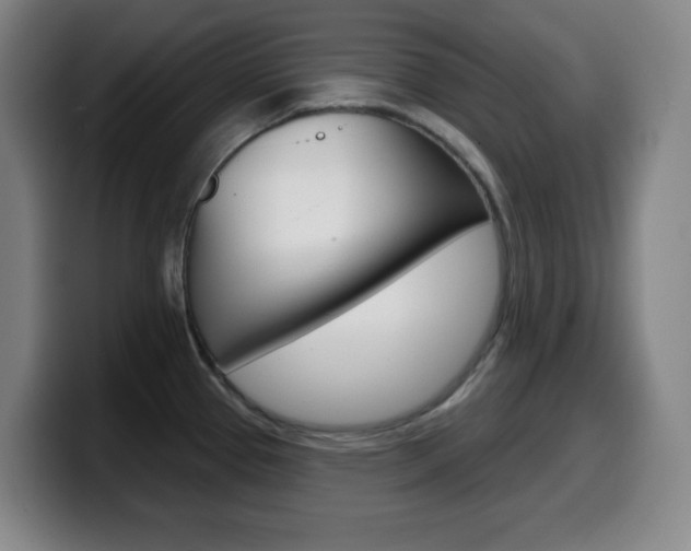 X0000099521337200805151024