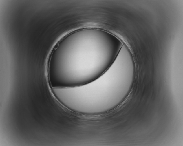 X0000099521342200805151024