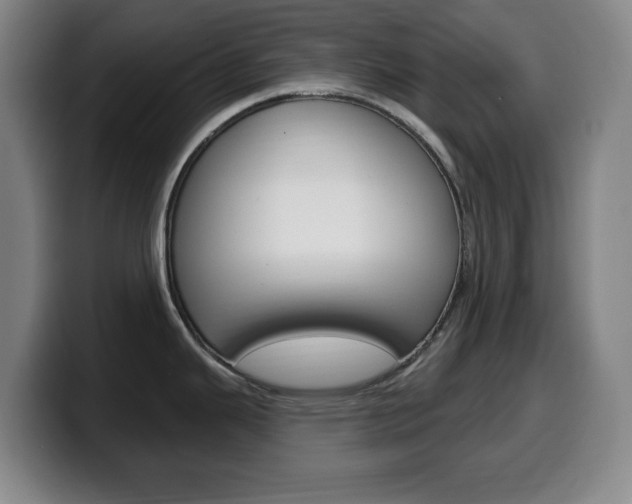 X0000099521343200805151024