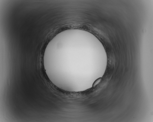 X0000099521346200805151024