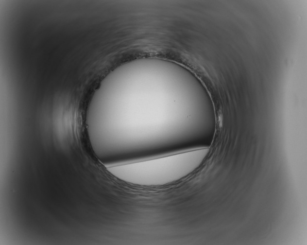 X0000099521347200805151024