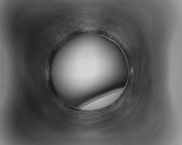 X0000099521348200805151024