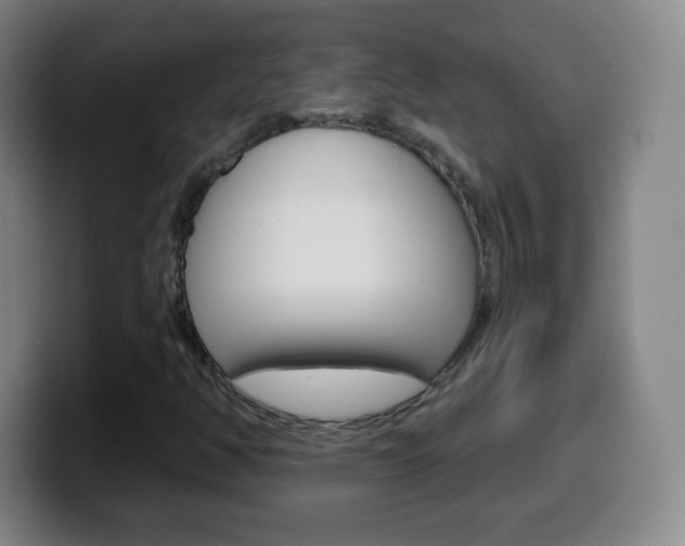 X0000099521350200805151023