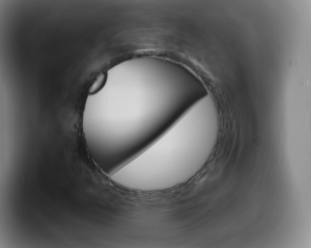 X0000099521351200805151023