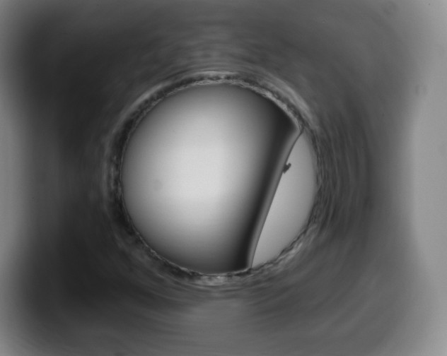 X0000099521352200805151023
