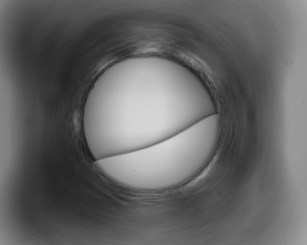 X0000099521353200805151023