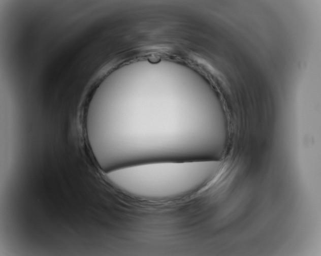 X0000099521354200805151023
