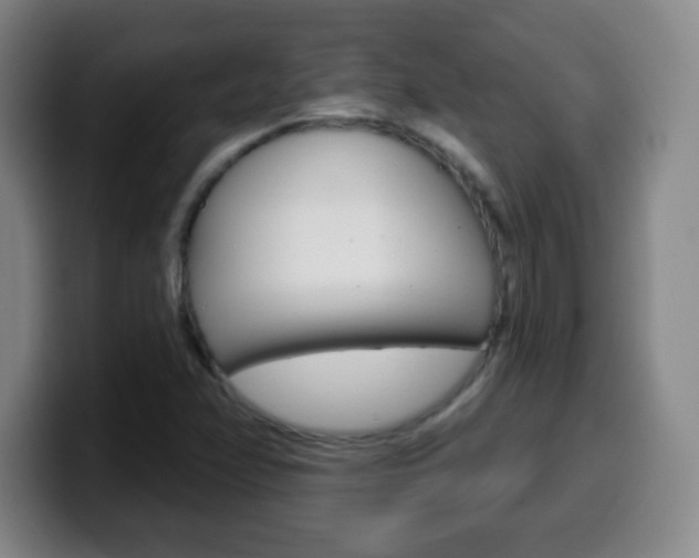 X0000099521358200805151023