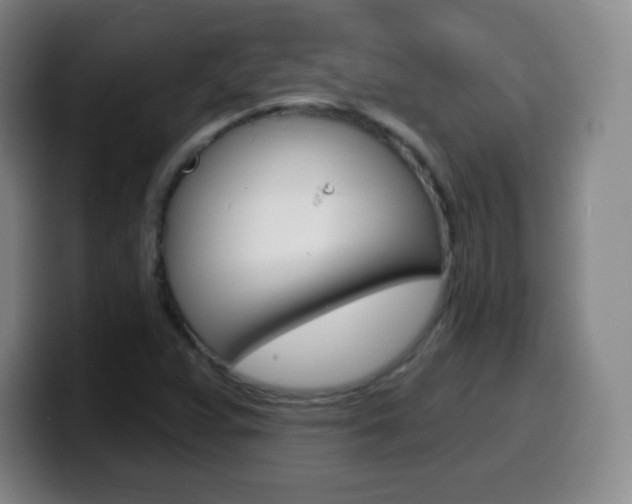 X0000099521359200805151023