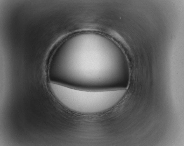 X0000099521360200805151023