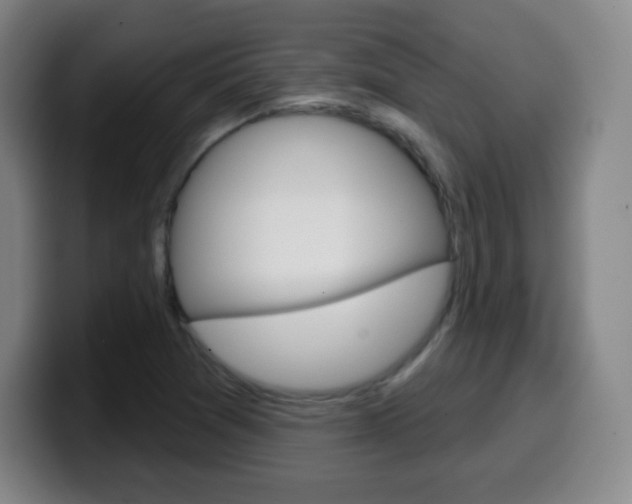 X0000099521361200805151023