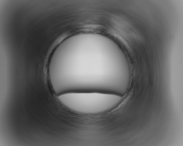 X0000099521362200805151023