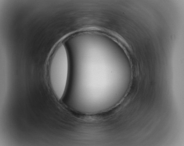 X0000099521364200805151023