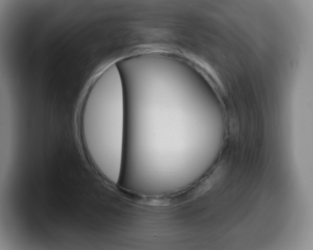 X0000099521365200805151023