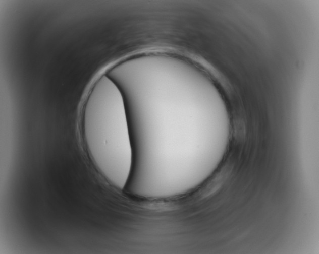 X0000099521366200805151023