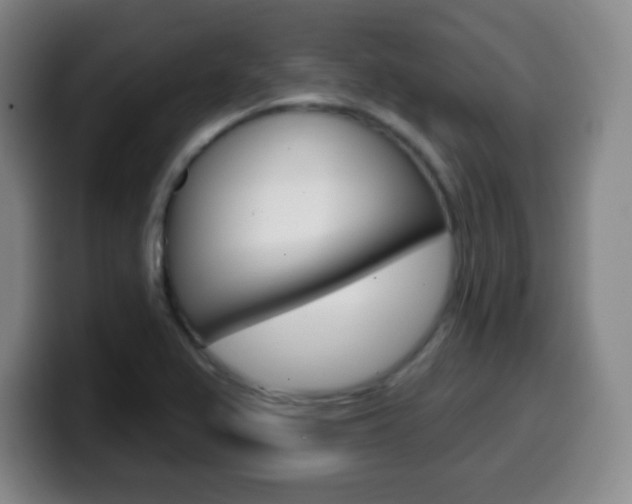 X0000099521367200805151023