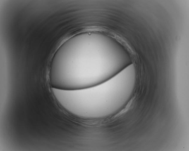 X0000099521369200805151023