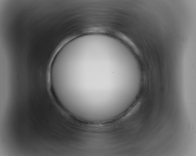 X0000099521370200805151023