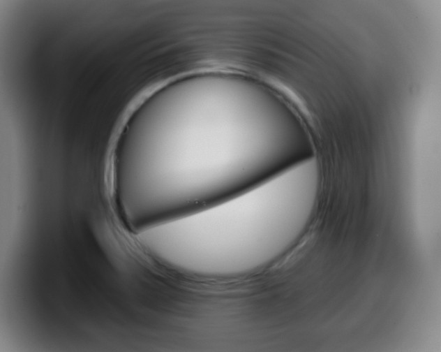 X0000099521371200805151023